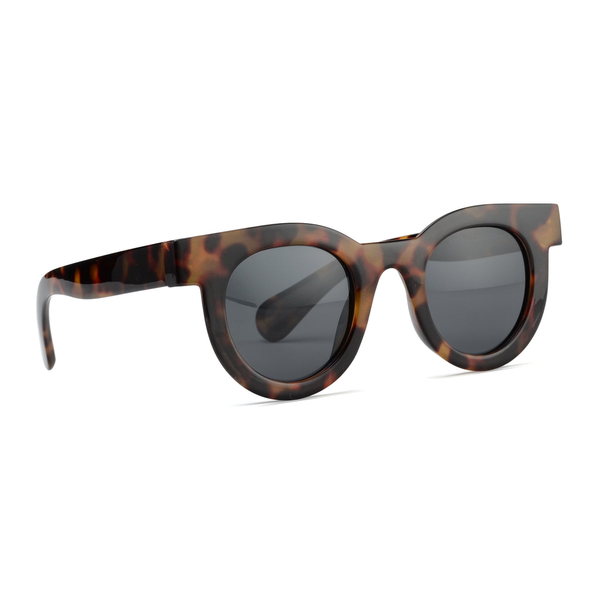 MILO | Tortoise | Smokey Lens – Ryan Simkhai Eyeshop
