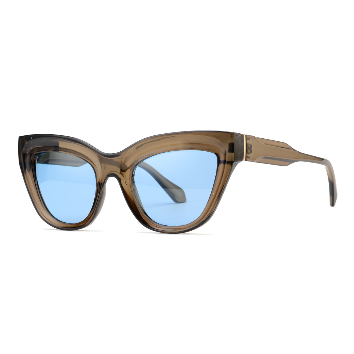 KELSEY | Transparent Dark Brown | Blue Lens – Ryan Simkhai Eyeshop