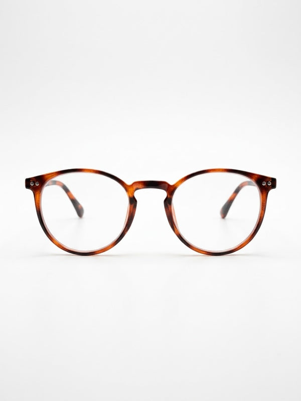 SHAW | Orange Tortoise