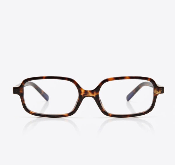 JAX | Tortoise