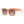 Load image into Gallery viewer, Ellie | Transparent Burnt Orange | Brown Lens

