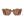 Load image into Gallery viewer, CYRILL | Beige Tortoise | Sun Reader
