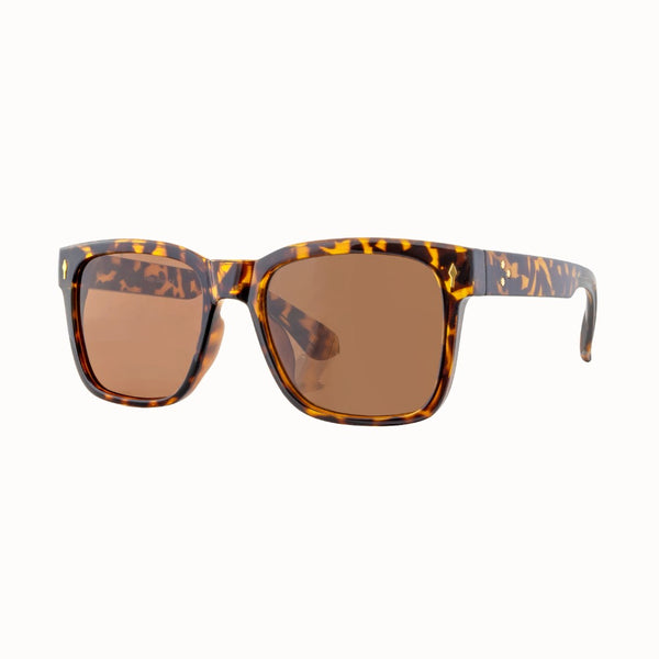 DAN | Tortoise | Brown Lens