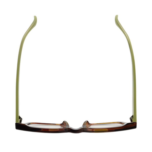 RAZ | Brown Green Stripes | Lime Green