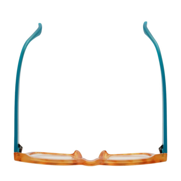 RAZ | Transparent Tortoise | Turquoise