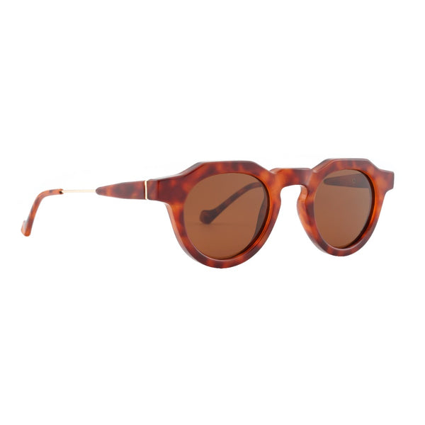 KOA | Tortoise |  Brown Lens