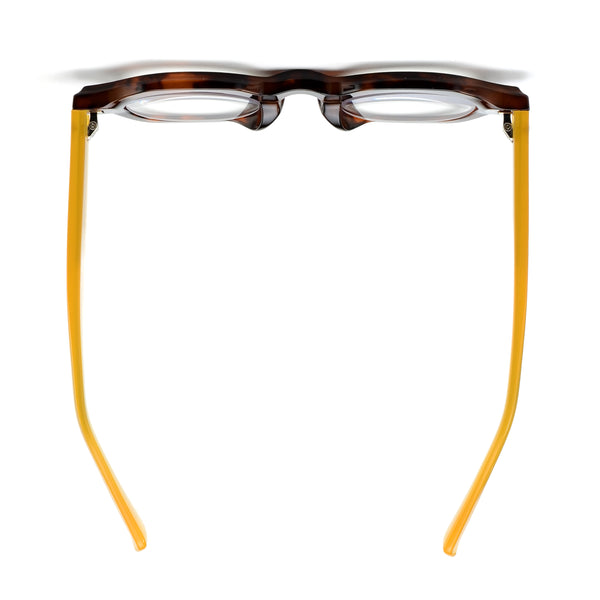 TOBY | Tortoise | Yellow Temples | Blue Light